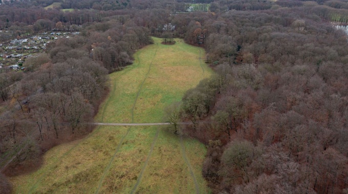 Luftaufnahme von der Gleueler Wiese, eingerahmt von Baumbestand.