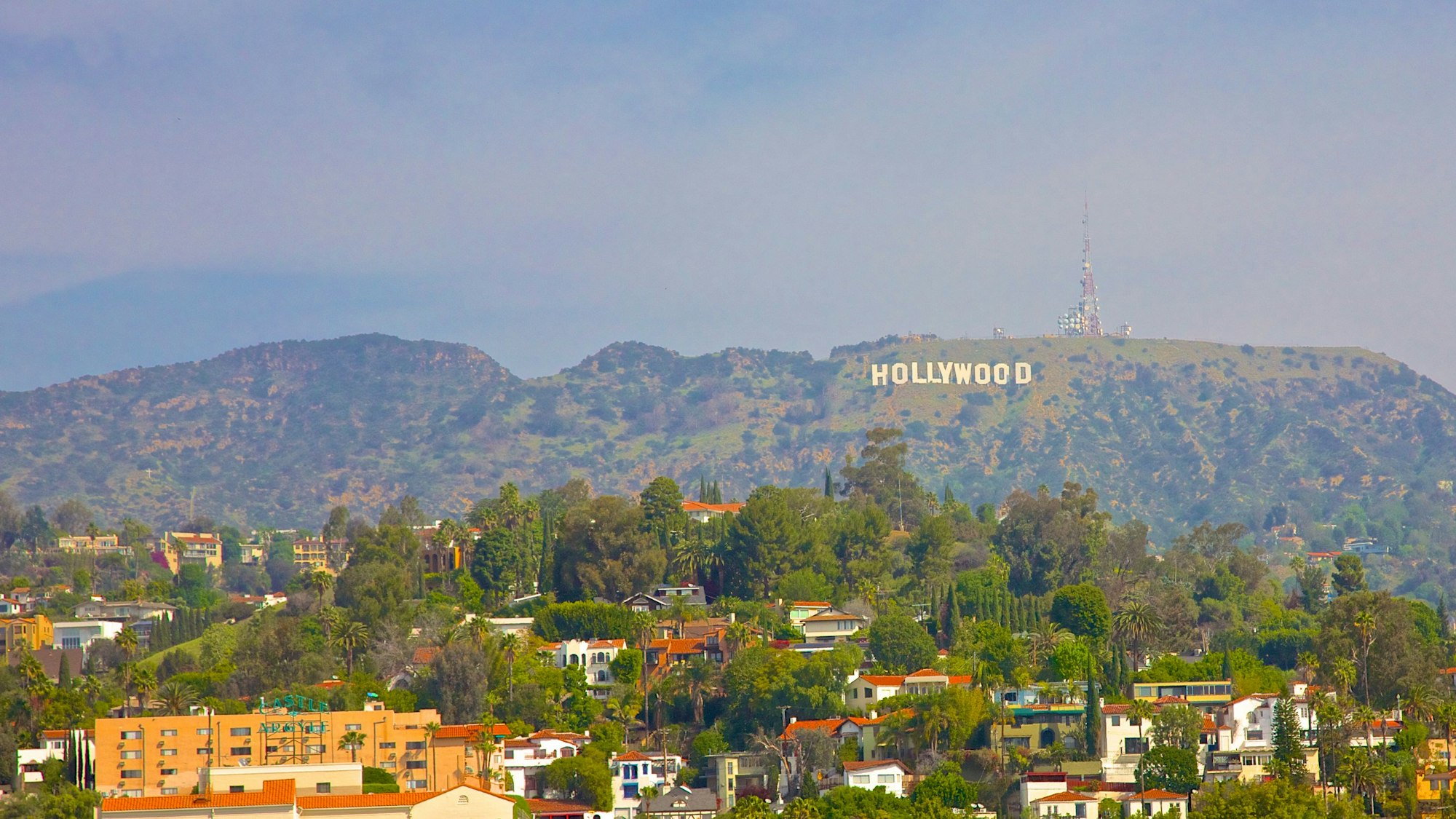 Panorama-Aufnahme von Los Angeles: Das Hollywood-Zeichen ist im Hintergrund zu sehen. Im Vordergrund sieht man zahlreiche Bäume und Häuser.