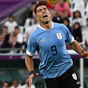 Uruguays Star-Angreifer Luis Suarez im WM-Gruppenspiel gegen Südkorea.