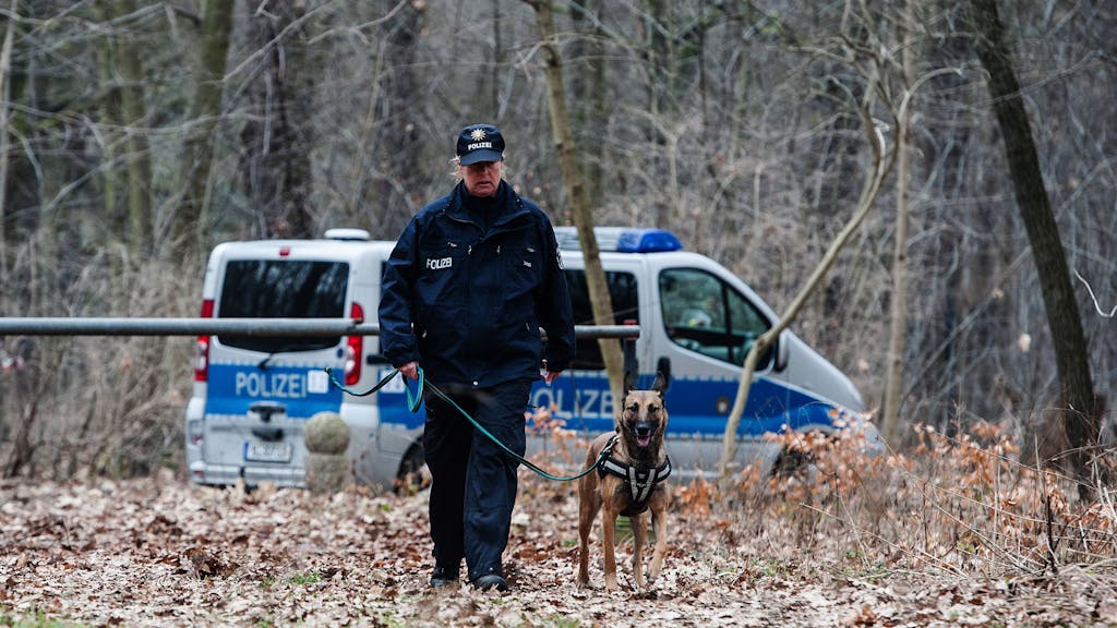 Eine Hundeführerin der Polizei geht mit ihrem Hund durch den Wald.&nbsp;