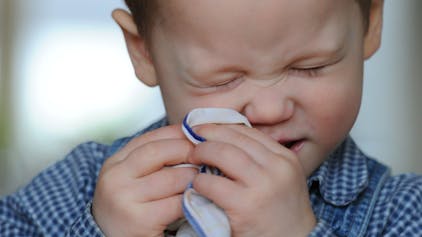 Ein Kleinkind niest in ein Stofftaschentuch (Symbolbild)<gesundheit!></gesundheit!>