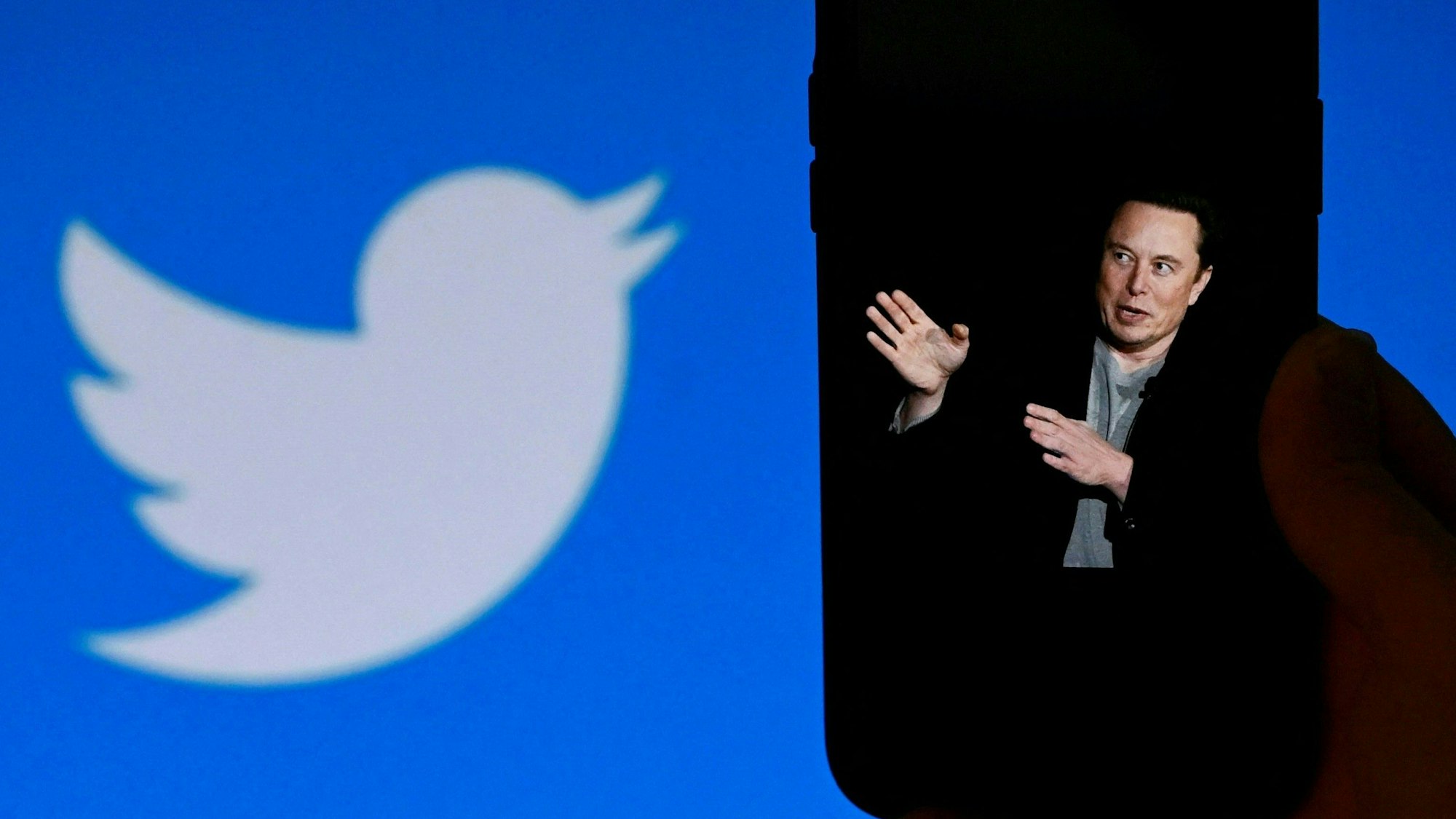 Ein Handy-Bildschirm zeigt ein Bild von Twitter-Chef Elon Musk vor dem Logo des Kurznachrichtendienstes.