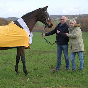 Die Stute des Jahres 2022, das Pferd Reverie, trägt ein gelbes Siegergewand und steht auf einer Weide. Seine Besitzer, Angela und Uwe Butkus aus Overath, halten die Zügel in der Hand.