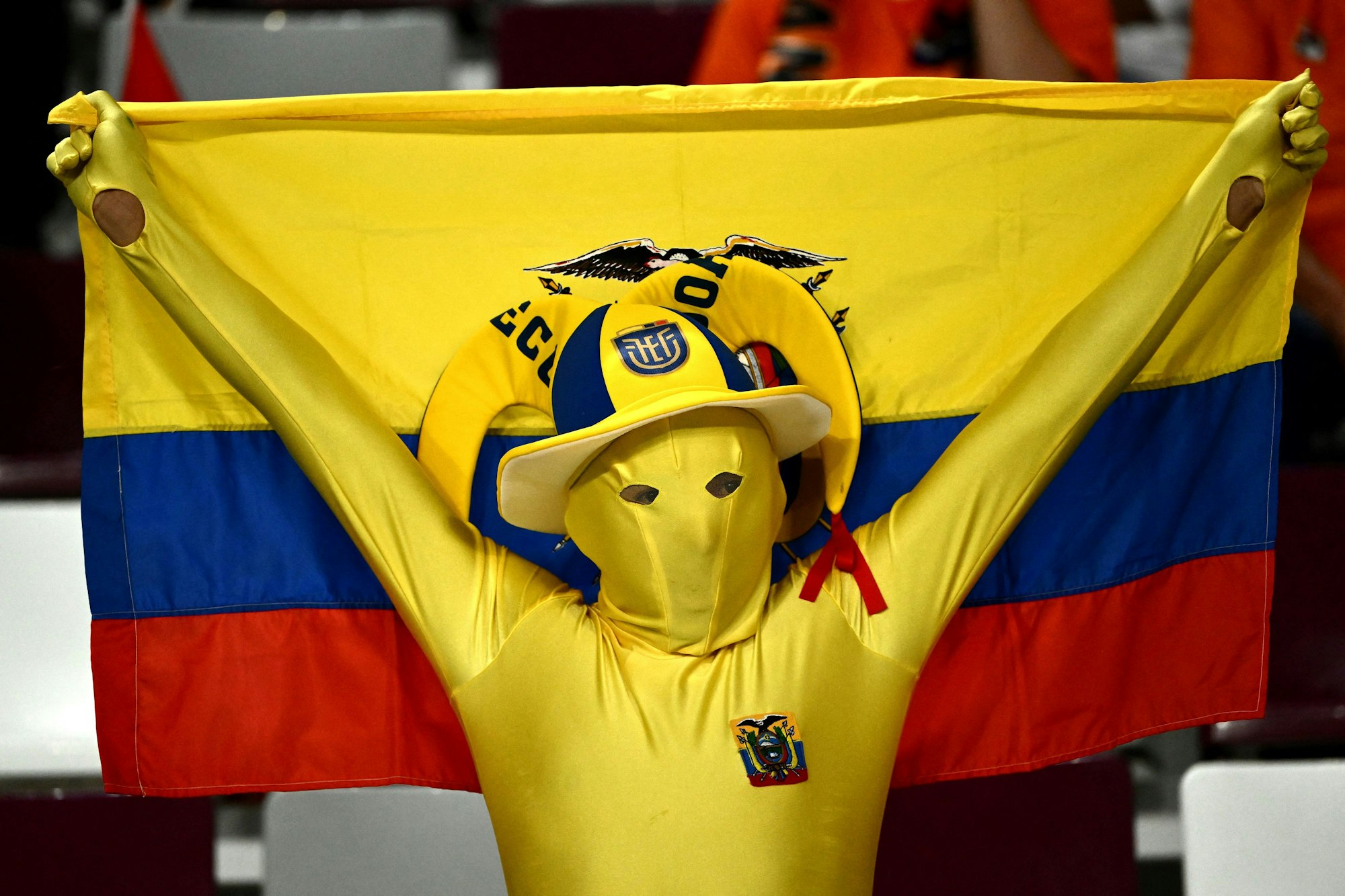 Ein Ecuador-Fan beim Spiel gegen die Niederlande in einem gelben Ganzkörper-Anzug, auch sein Gesicht ist bedeckt.