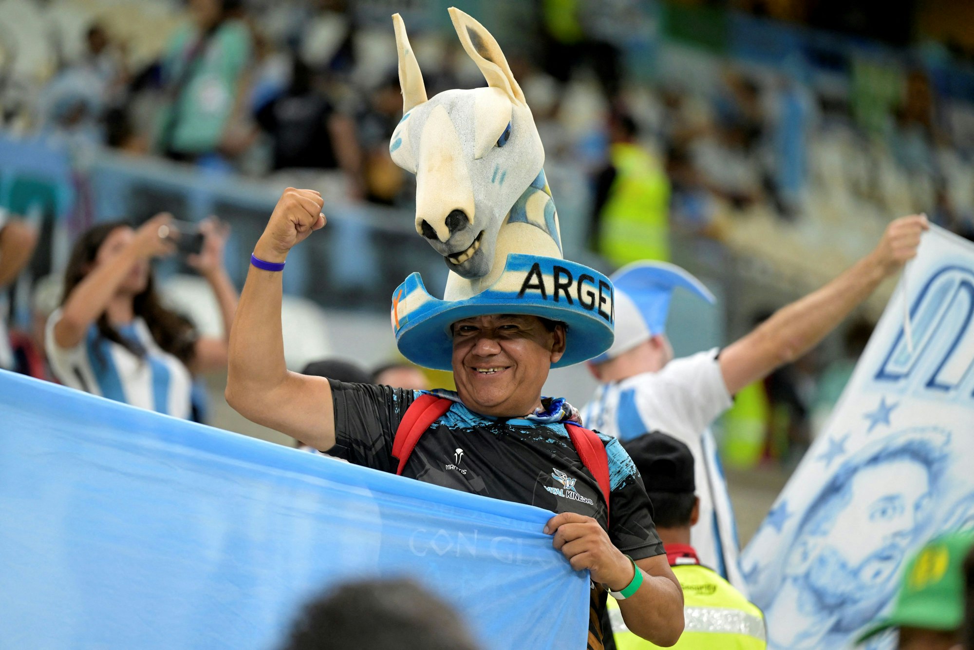 Ein Fan der argentinischen Nationalmannschaft beim Spiel gegen Mexiko mit Lama-Kopfbedeckung.