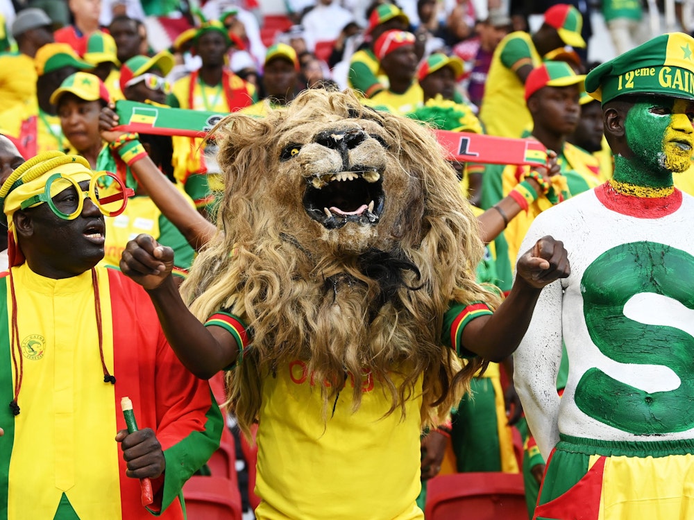 Voll ausgestattet sind diese Senegalesen mit Löwenkopf beim Spiel gegen Katar angereist.
