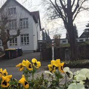 Die Außenfassade der Grundschule mit gelben Blumen im Vordergrund.