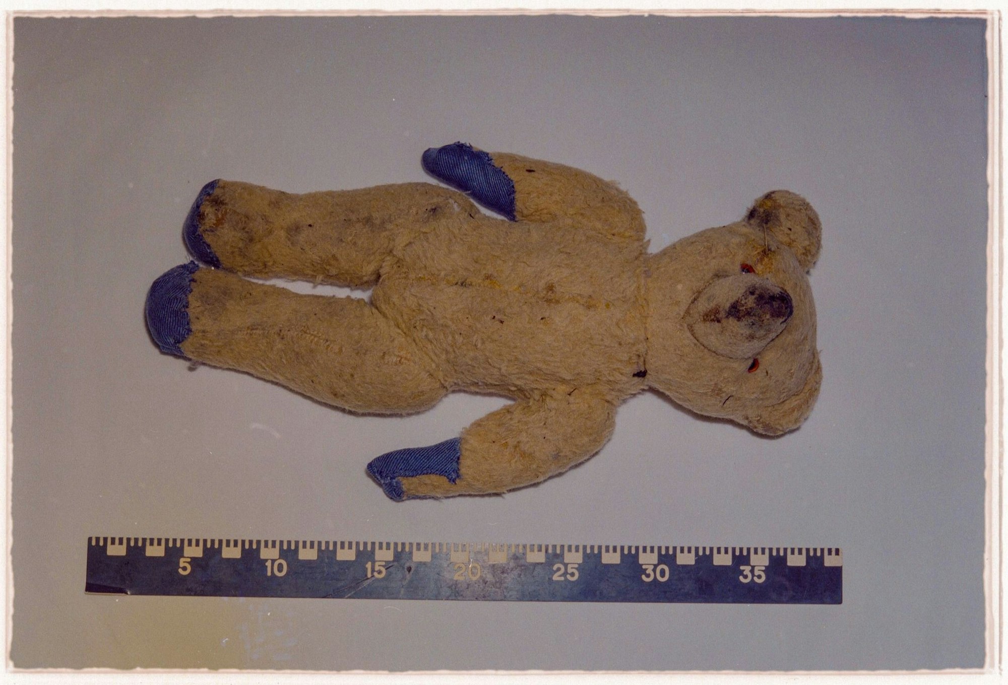 Ein Teddybär liegt auf einem Tisch mit einem Lineal. Er ist von oben fotografiert und ramponiert. Er hat ein braunes Fell und blaue Tatzen.