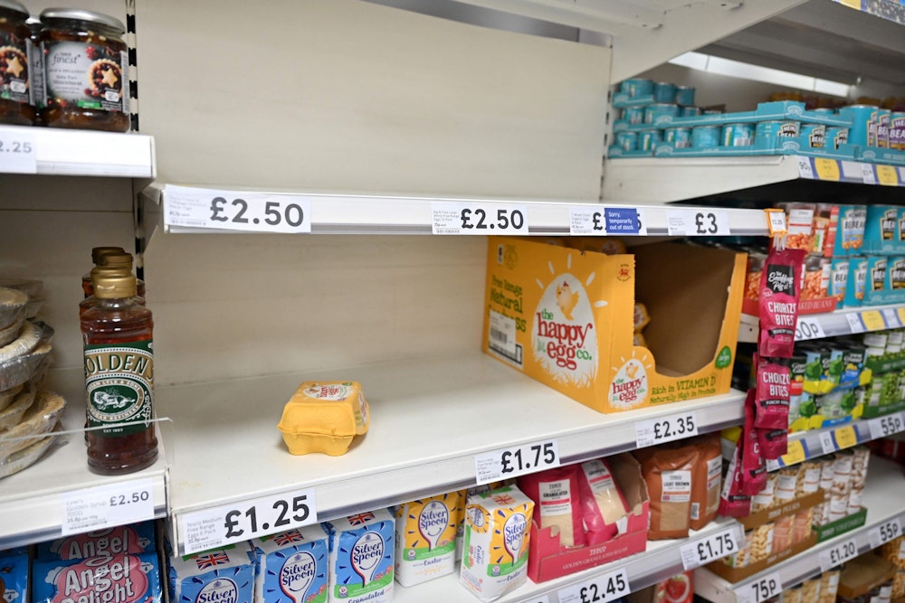 Nur eine Handvoll Eier kann ein Supermarkt in London Mitte November noch anbieten: In Großbritannien ächzt die Kundschaft unter einer Eierkrise. Wie sieht es in Deutschland aus?