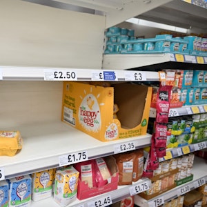 Nur eine Handvoll Eier kann ein Supermarkt in London Mitte November noch anbieten: In Großbritannien ächzt die Kundschaft unter einer Eierkrise. Wie sieht es in Deutschland aus?