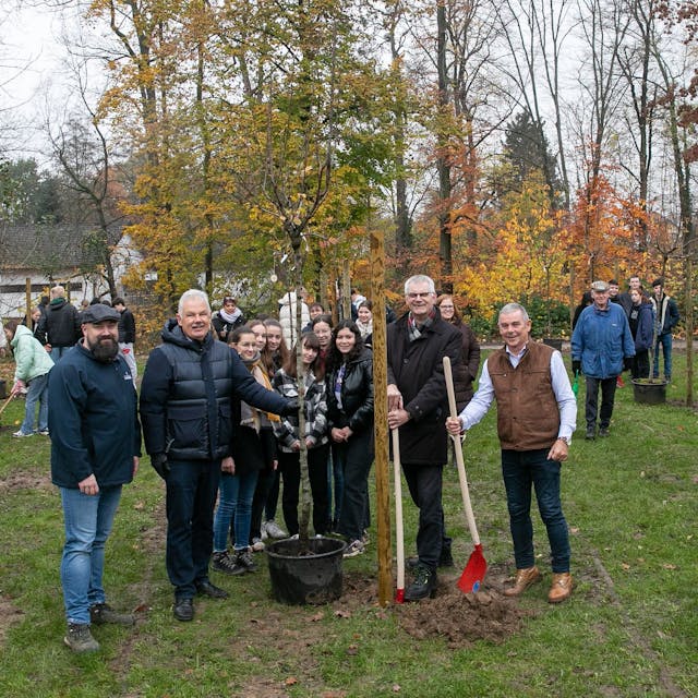 Deutsche und französische Schüler sowie Erwachsene aus beiden Partnerorten pflanzten im Rheinbacher Stadtpark gemeinsam Obstbäume ein.