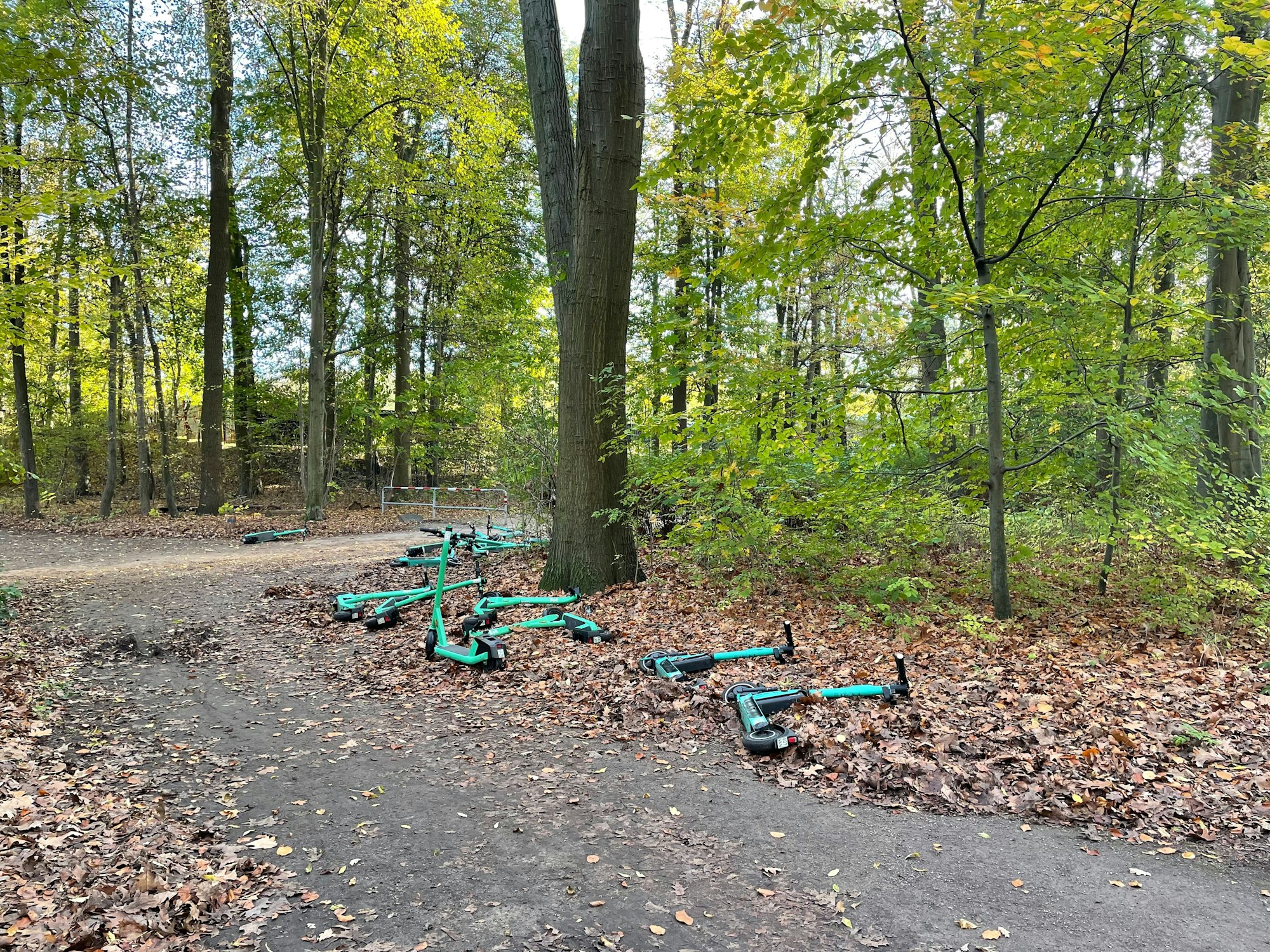 E-Roller liegen am Rande eines Waldweges.