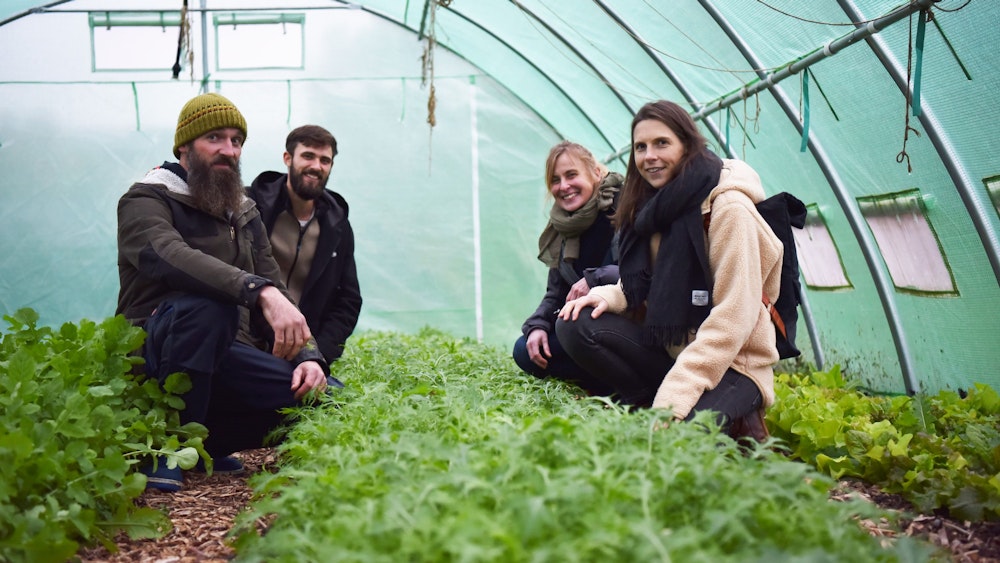 Die Salatpflanzen im Folientunnel schauen sich Fabian Hacken (v.l.), Keven Braun, Claudia Träger und Romy Linden an.