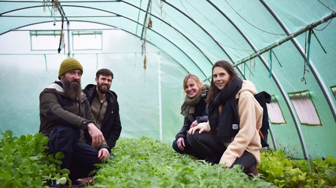 Die Salatpflanzen im Folientunnel schauen sich Fabian Hacken (v.l.), Keven Braun, Claudia Träger und Romy Linden an.