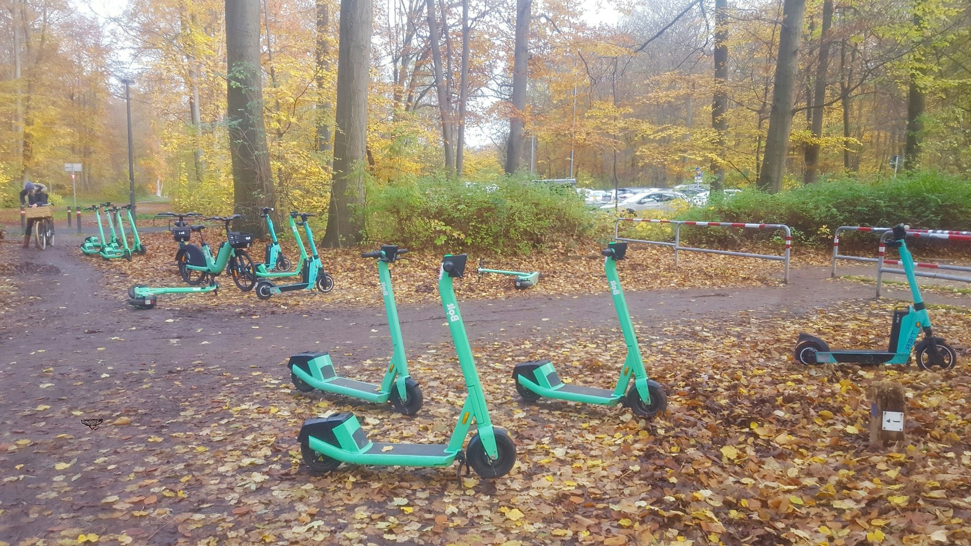 Ein Dutzend quietschgrüne E-Roller und ein Leihfahrrad sind am Rande eines Waldwegs geparkt.