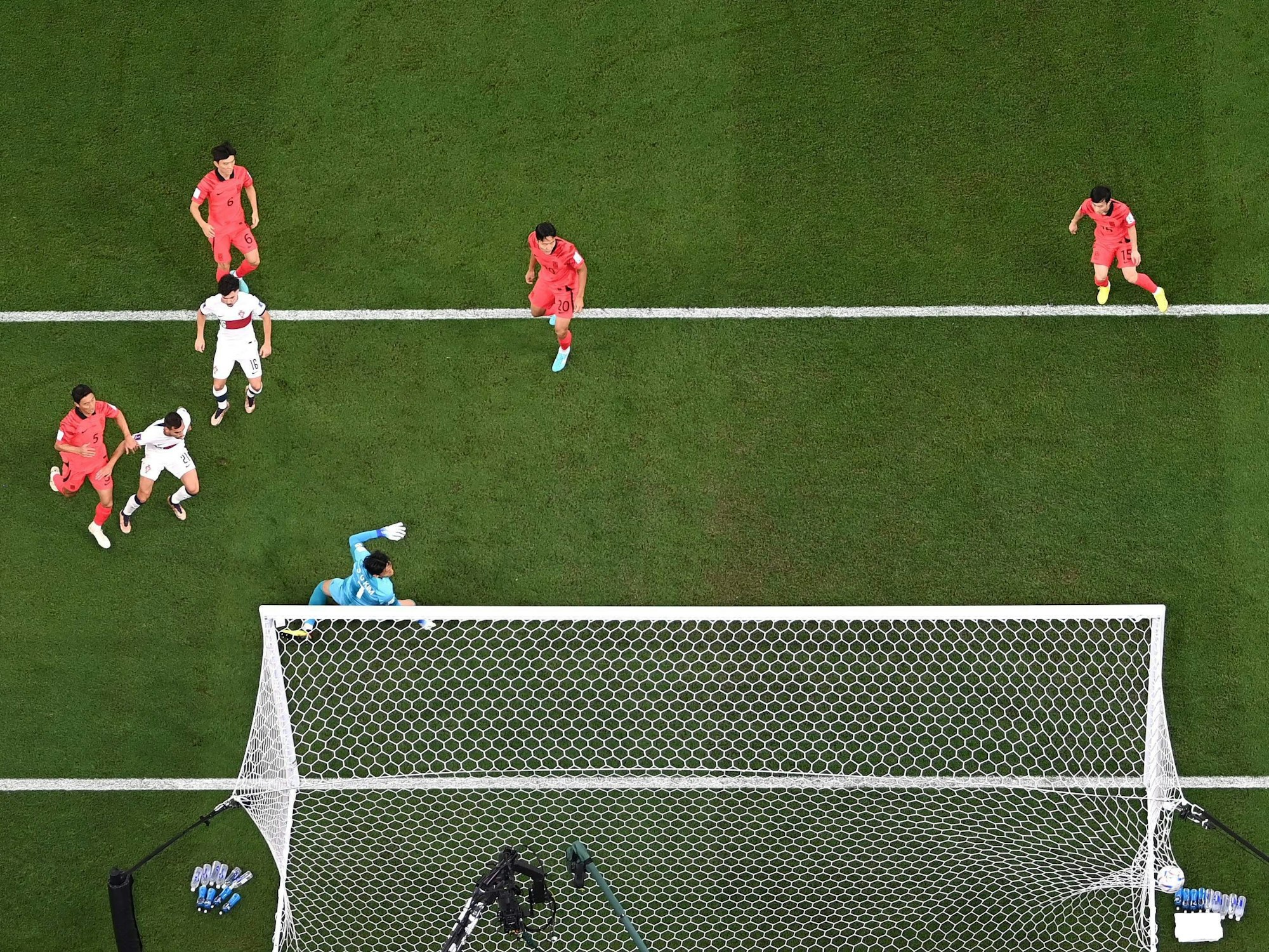 Ricardo Horta trifft zum 1:0 für Portugal im WM-Vorrundenspiel gegen Südkorea.