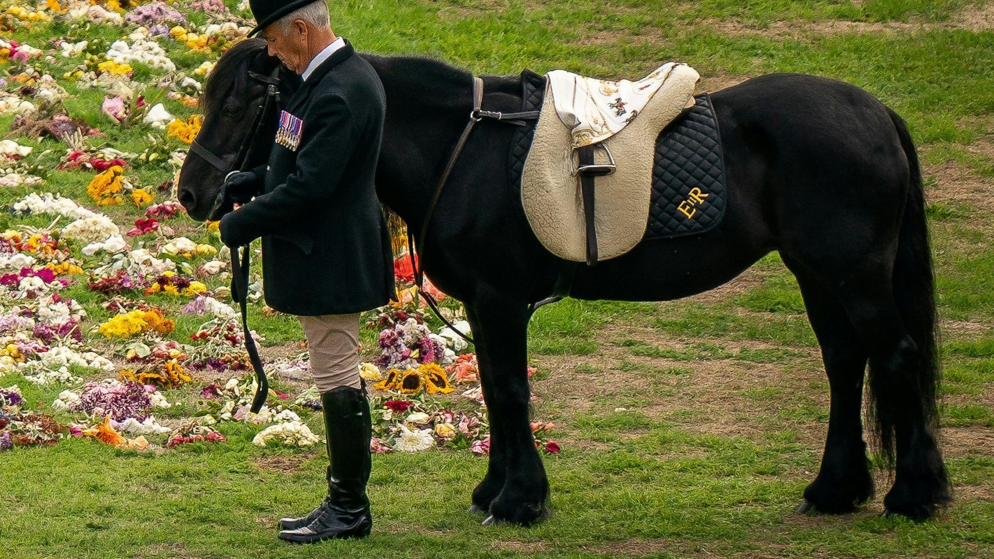 Emma, das Lieblingspferd der Queen, steht bei der feierlichen Prozession mit dem Sarg von Königin Elizabeth II. auf dem Gelände von Schloss Windsor neben einemBlumenmeer.