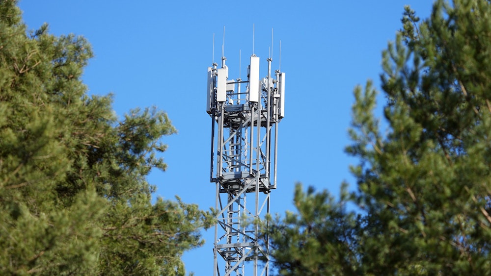 Ein Mast mit Mobilfunk-Antennen steht zwischen Kiefern.