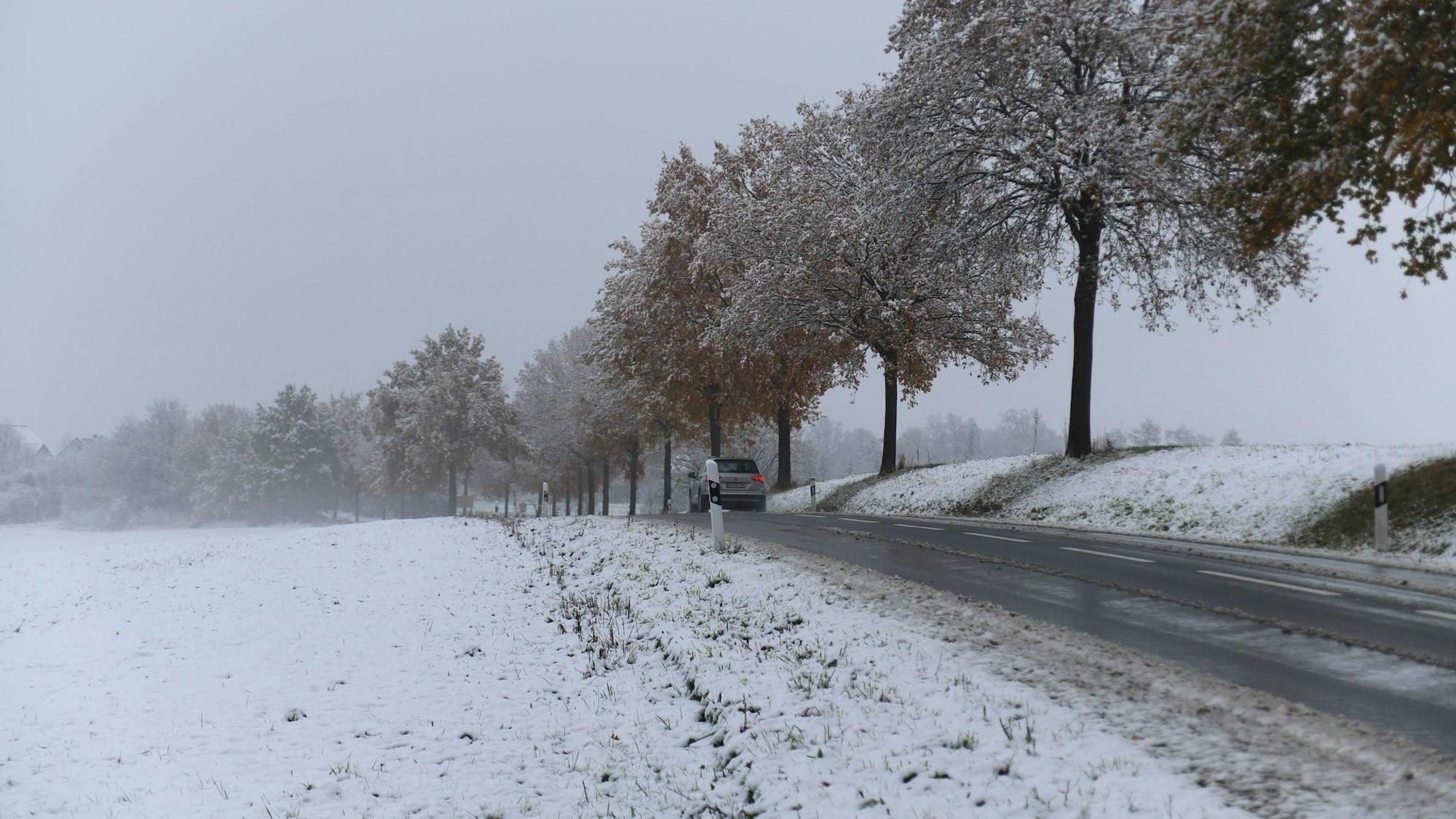 Neben einer Landstraße im Rhein-Seig-Kreis sind die umliegenden Wiesen mit Schnee bedeckt.