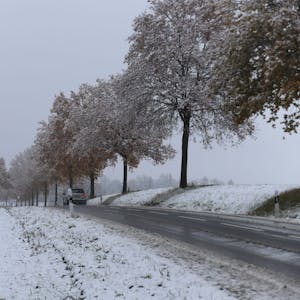 Neben einer Landstraße im Rhein-Seig-Kreis sind die umliegenden Wiesen mit Schnee bedeckt.&nbsp;