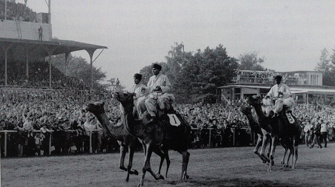 Die Rennbahn mit vier Kamelen und Reitern im Vordergrund und Publikum im Hintergrund.