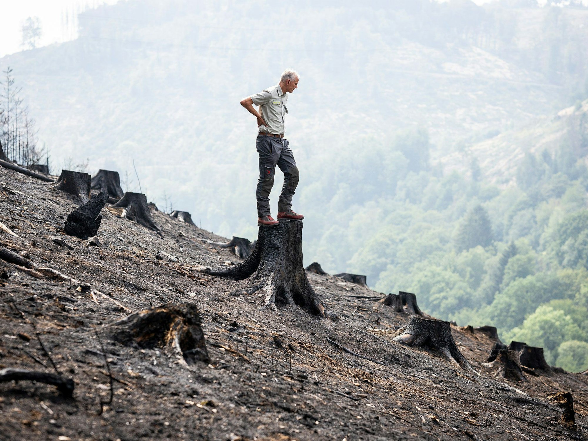 „Nach dem Feuer. Ein Förster erzählt“ von Ralf Rottmann: Ein Förster schaut auf eine durch einen Waldbrand zerstörte Fläche bei Lüdenscheid.