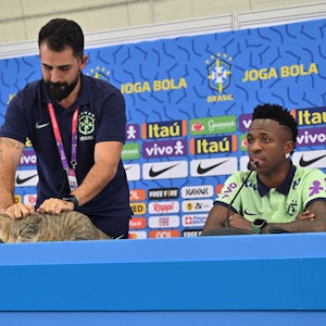Vinicius Rodrigues, der Sprecher der brasilianischen Fußball-Nationalmannschaft greift eine Katze am Fell.