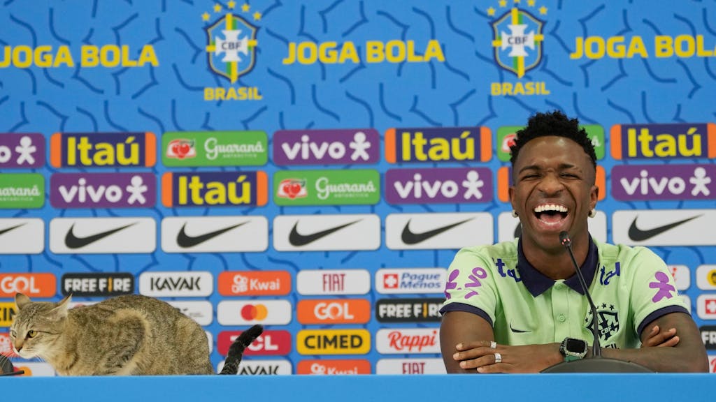 Brasilien-Nationalspieler Vinicius Junior lacht über Katze auf dem Tisch.&nbsp;