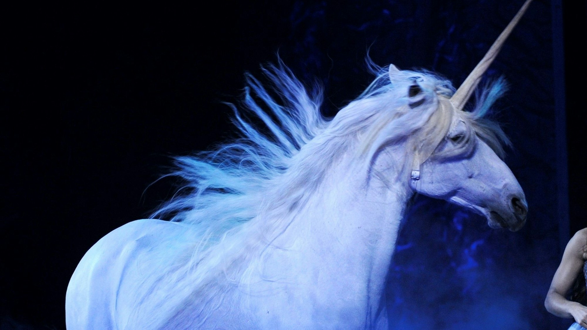 Ein zum Einhorn kostümiertes Pferd tritt bei einer Vorstellung der Show ‚Magnifico‘ auf.