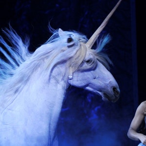Ein zum Einhorn kostümiertes Pferd tritt bei einer Vorstellung der Show ‚Magnifico‘ auf.