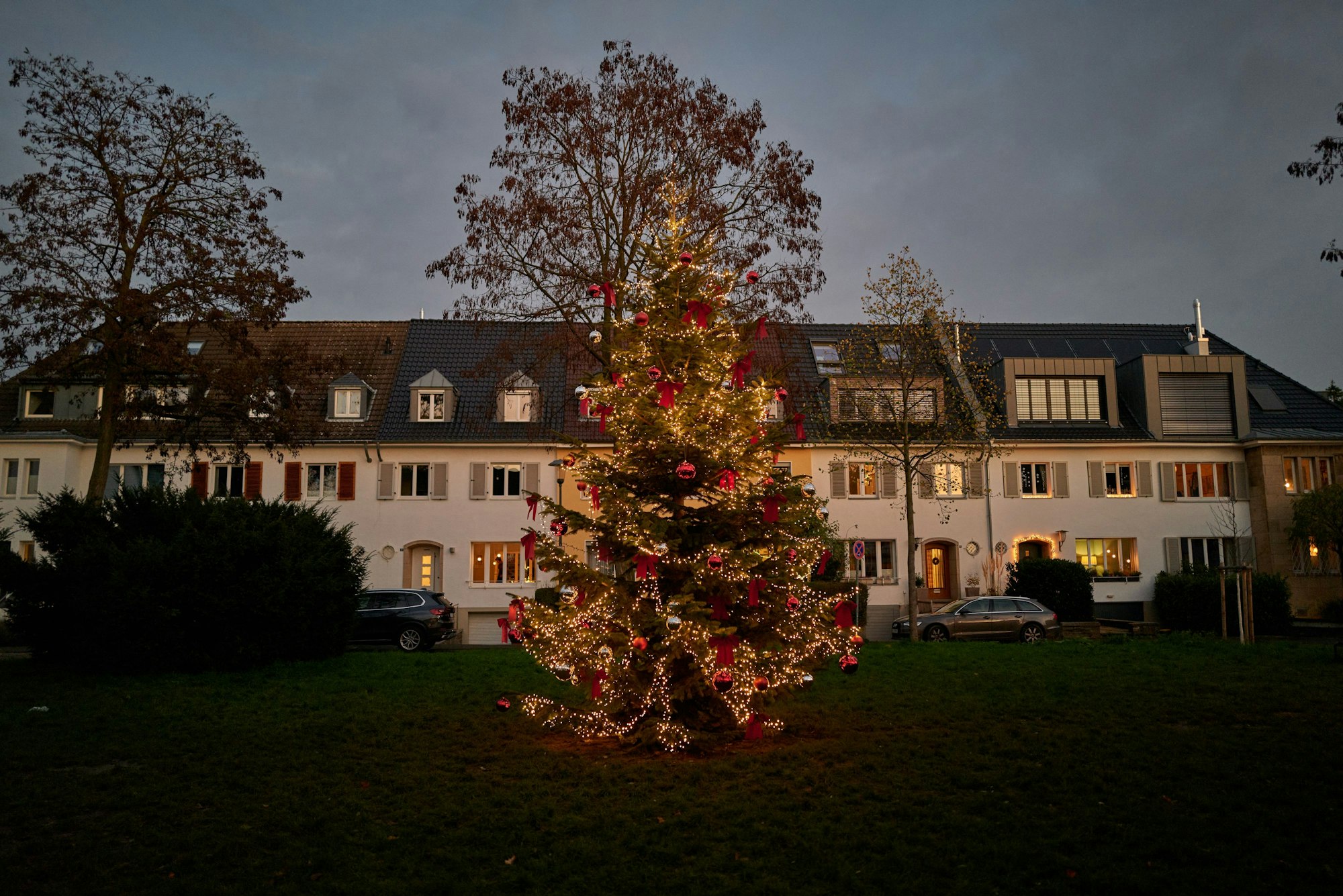 Ein Nadelbaum steht auf einer Grünfläche und ist mit zahlreichen roten Weihnachtskugeln, Schleifen und einer Lichterkette geschmückt. Die Dekoration ist so umfangreich, dass der eigentliche Baum fast nicht mehr zu sehen ist.