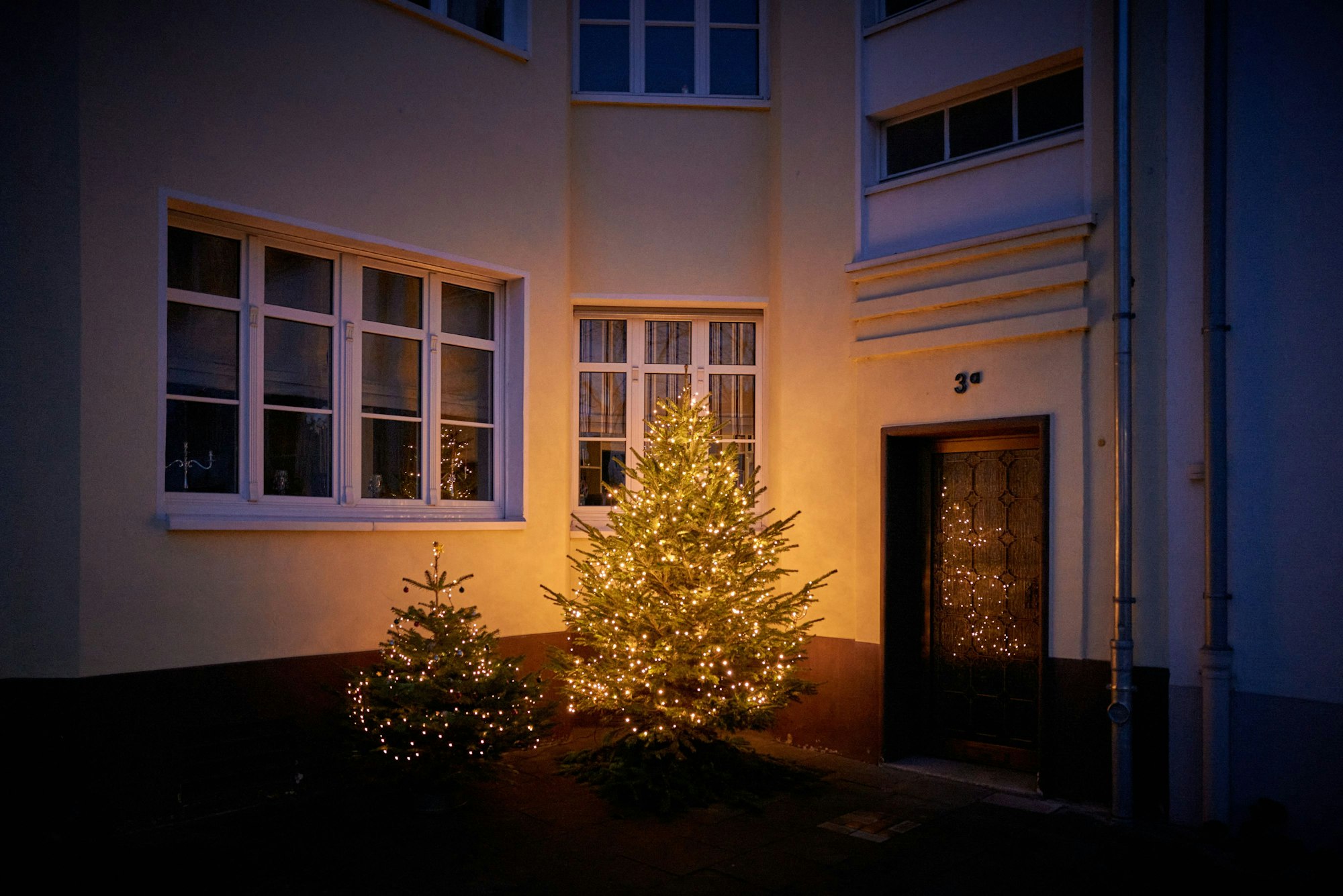 Zwei kleinere Weihnachtsbäume sind mit Lichterketten geschmückt und stehen im Dunklen vor einem Hauseingang.