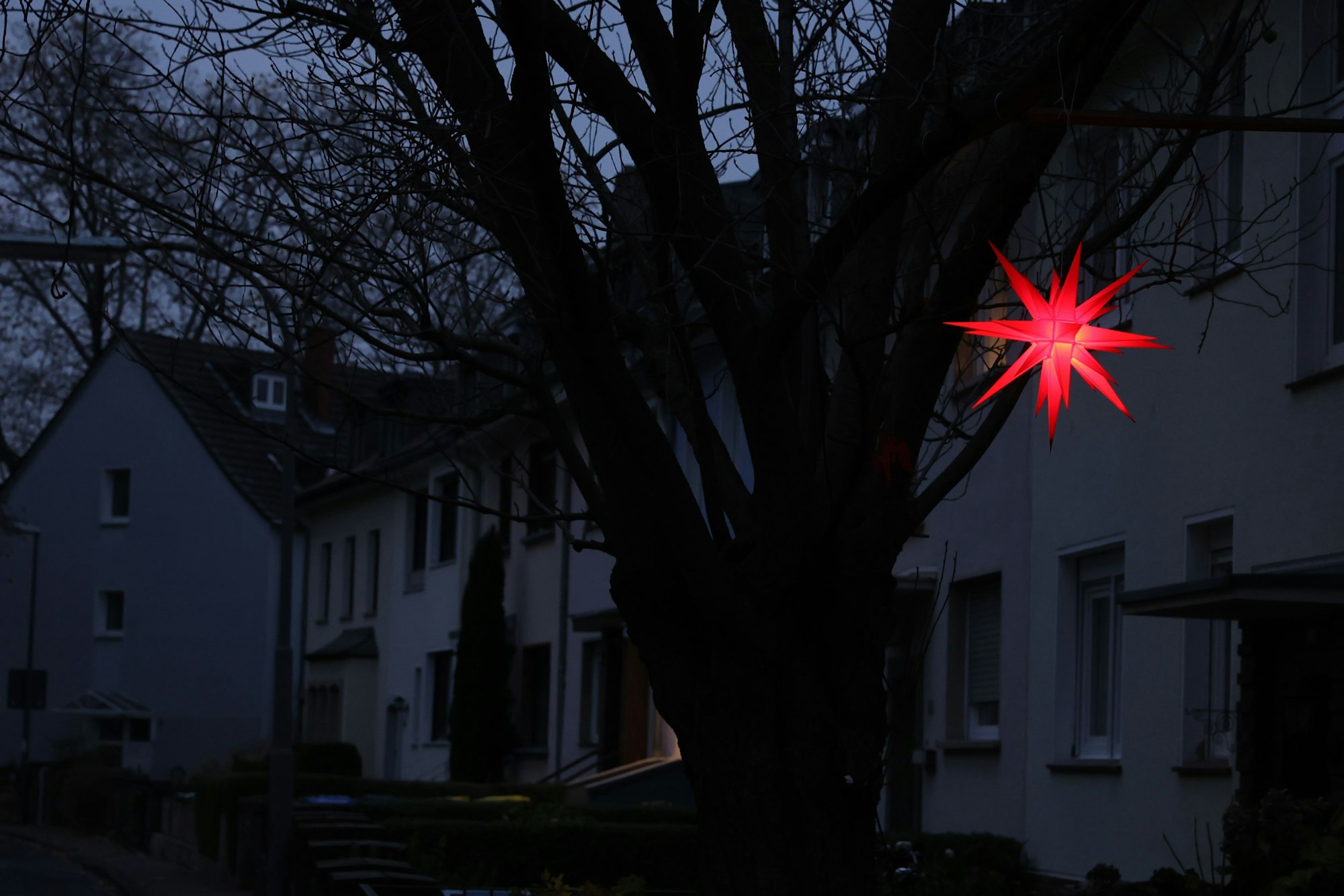 Ein roter, leuchtender Weihnachtsstern hängt in der Dämmerung vor einem Baum. Im Hintergrund sind Häuser zu sehen. In den Häusern brennt noch kein Licht.