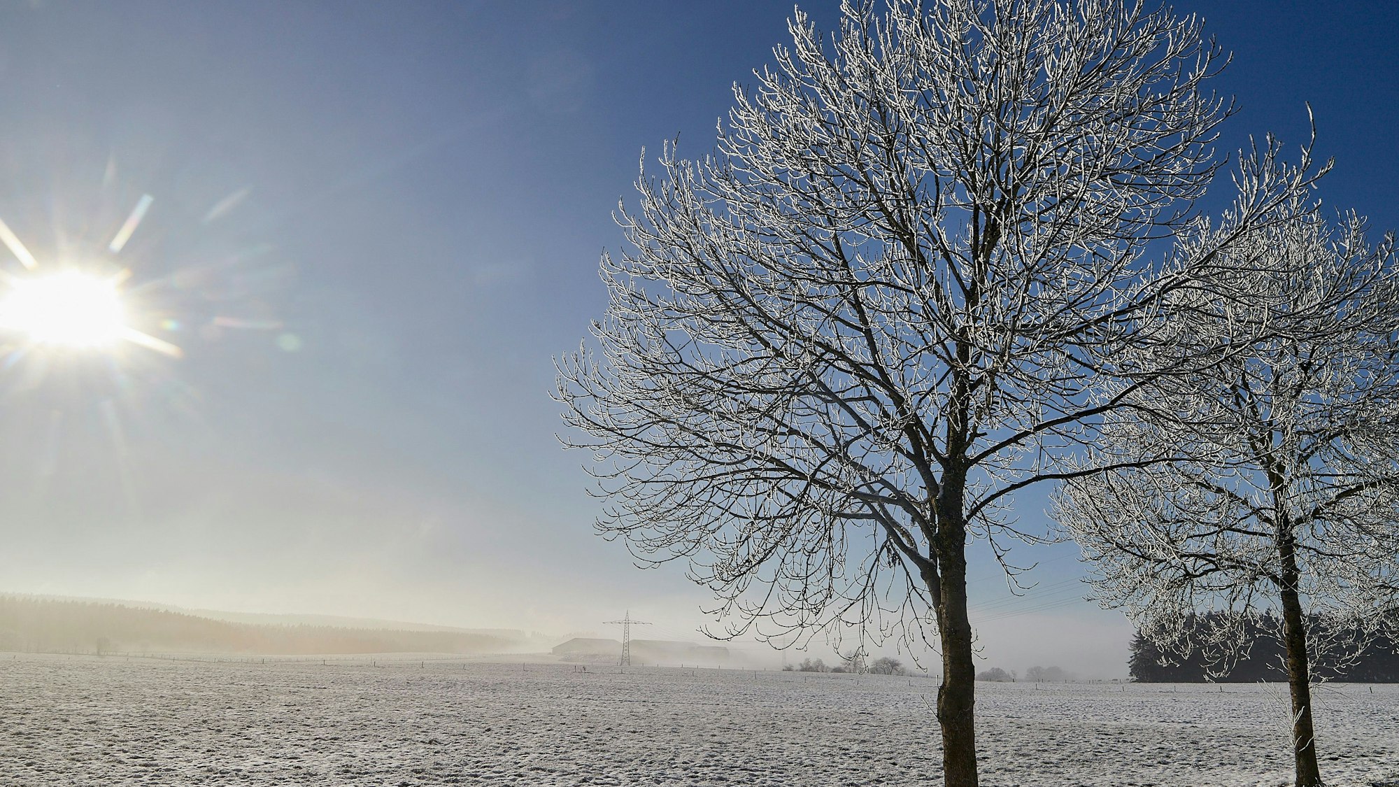 Die Sonne scheint an einem wolkenlosen Himmel auf eine dünn mit Schnee bedeckte Wiese, an deren Rand Bäume mit Raureif zu sehen sind.