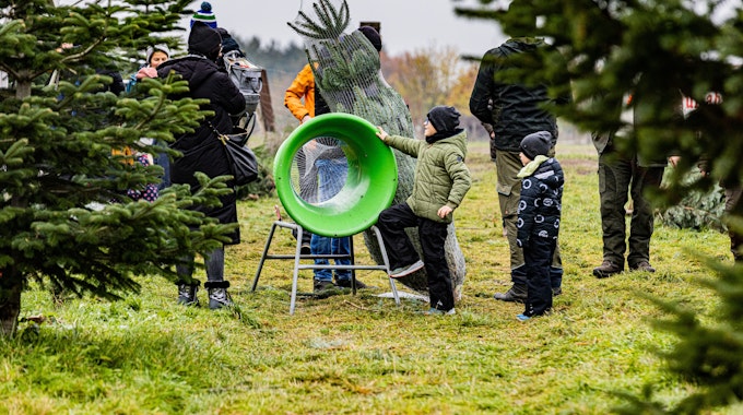 Weihnachtsbaumverkauf in Bornheim: Ein ausgewählter Baum kommt in die Einnetzmaschine und wird dann nach Hause gebracht. Daneben stehen Kinder und Erwachsene.