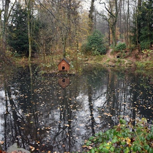 Ein Holzhäuschen steht im Waldbröler Entenweiher. Herbstliches Laub liegt auf dem Wasser.