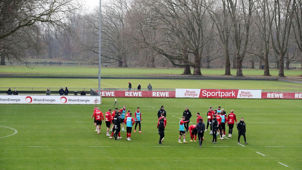 Die Profis des 1. FC Köln stehen am Geißbockheim auf dem Trainingsplatz.