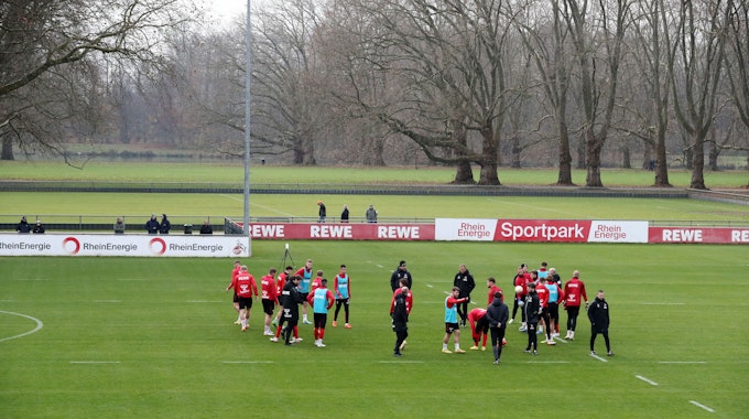 Die Profis des 1. FC Köln stehen am Geißbockheim auf dem Trainingsplatz.
