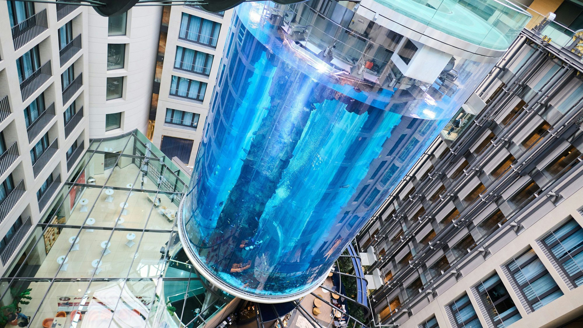 Der „AquaDom“ in Berlin ist das größte frei stehende Aquarium. Die blaue Wassersäule ist umringt von Hotelzimmern.