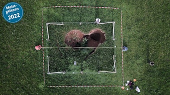 Ein unheimliches Loch mitten auf der Wiese: Drohnenbilder lassen einen herzförmigen Einsturzkrater erkennen.