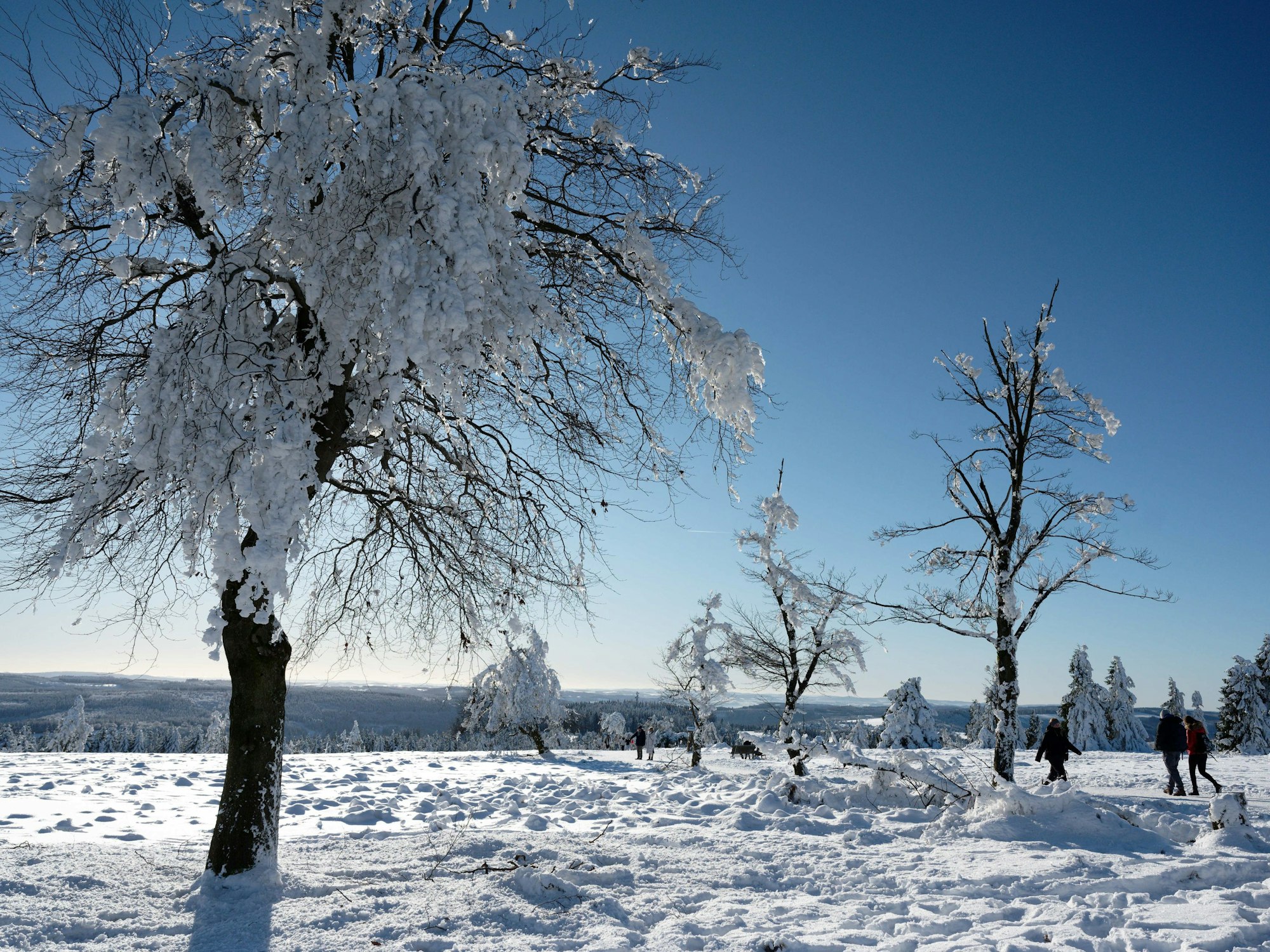 Menschen gehen in Winterberg durch die verschneite Landschaft.