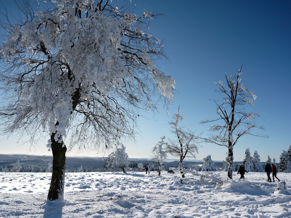 Menschen gehen in Winterberg durch die verschneite Landschaft.