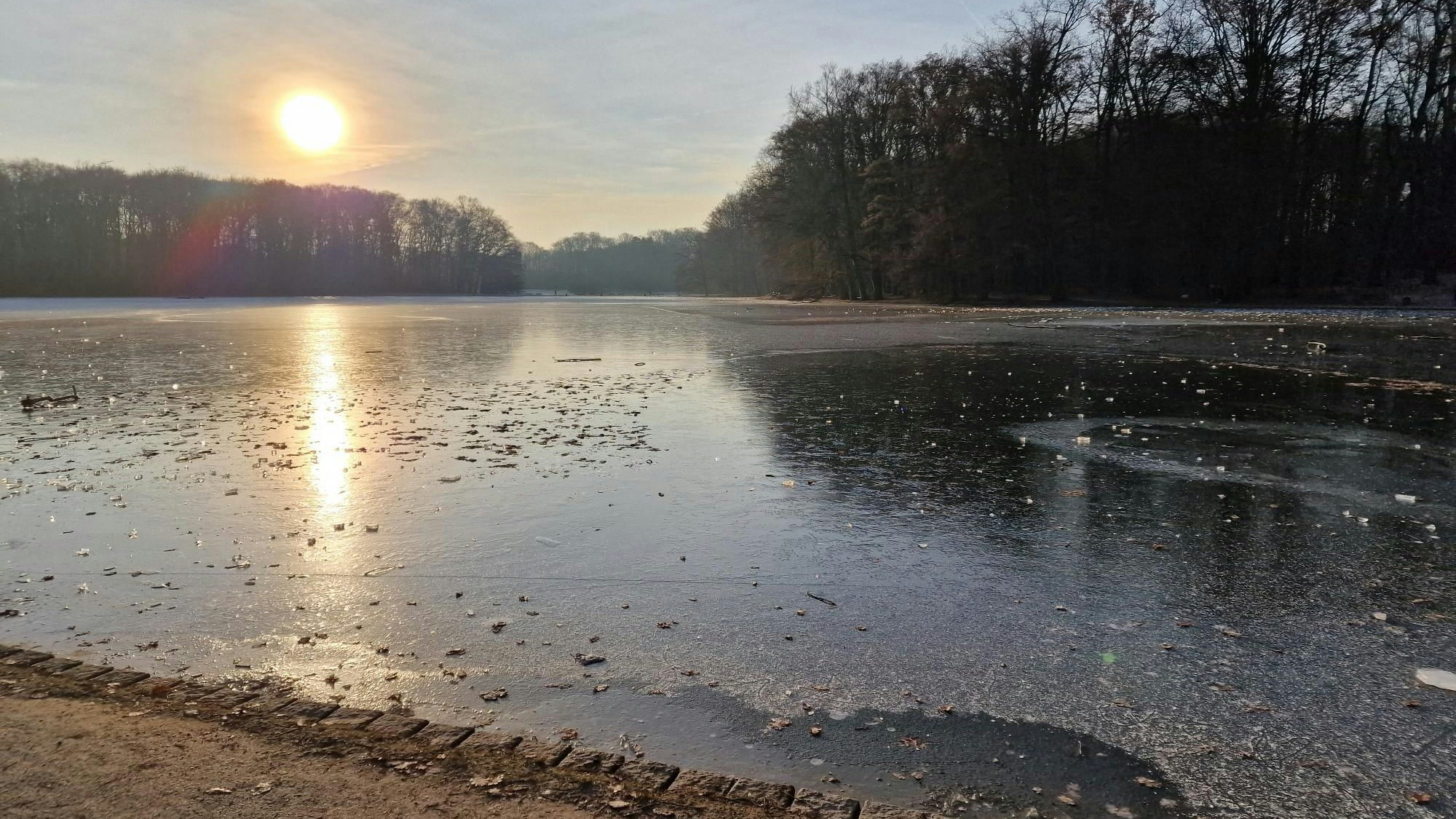 Der Adenauer Weiher in Köln beim Sonnenaufgang, das Gewässer ist zugefroren.
