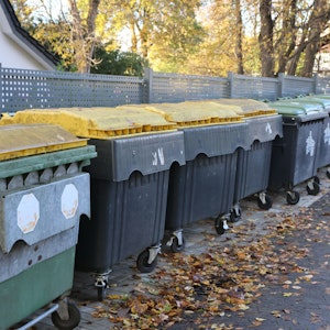 Müllbehälter hinter dem Rathaus am Straßenrand
