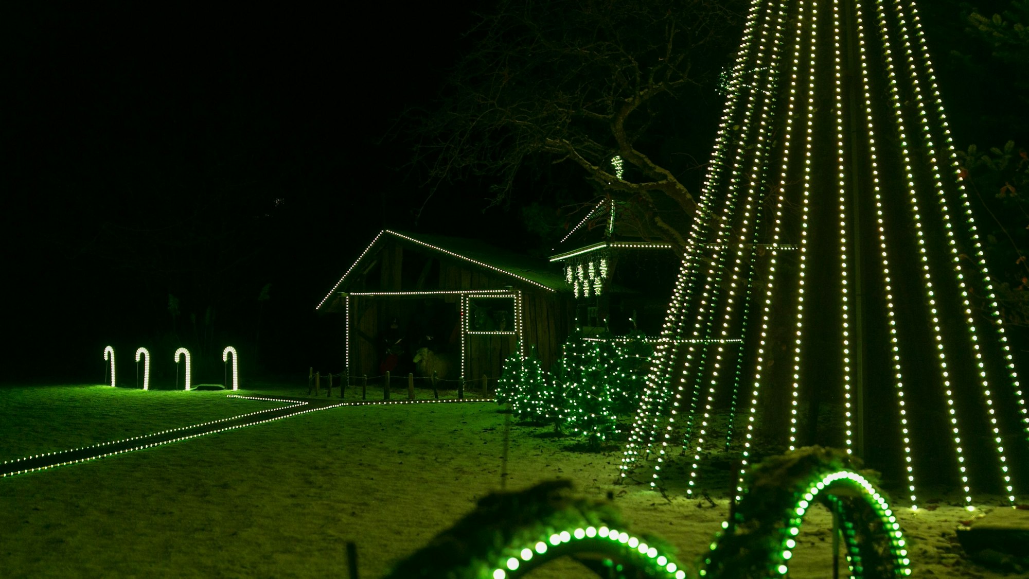 In einem Garten sind Holzhütten von grün leuchtenden Lichterketten umrahmt. Auch ein Weihnachtsbaum aus Lichterketten leuchtet grün.