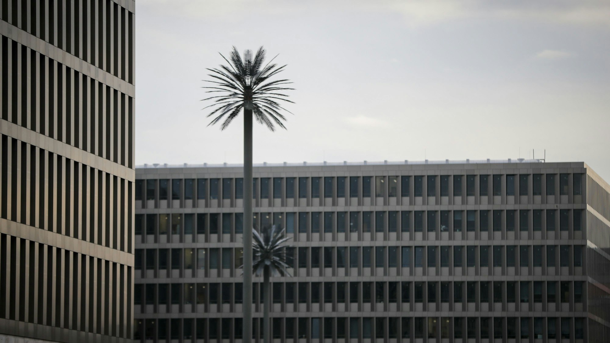 Das Foto zeigt einen Blick auf die stählernen Palmen vor der neuen Zentrale des Bundesnachrichtendienstes.