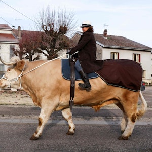 Auf diesem am 21. Dezember zur Verfügung gestellten Foto reitet die französische Pferdetrainerin Sabine Rouas ihren Stier "Aston" in Vieville-Sous-les-Cotes im Nordosten Frankreichs.
