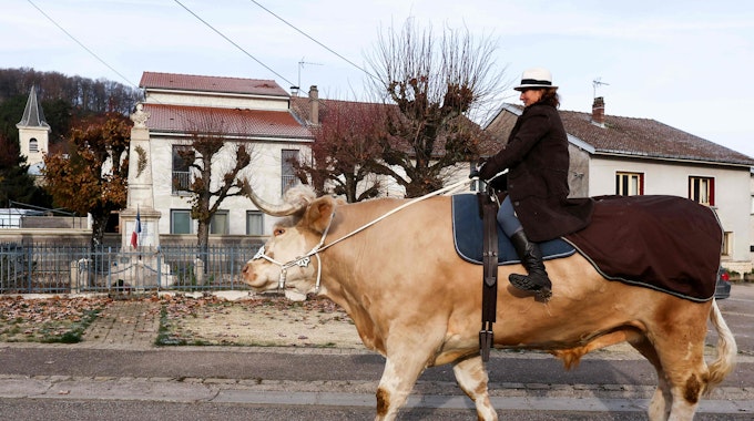 Auf diesem am 21. Dezember zur Verfügung gestellten Foto reitet die französische Pferdetrainerin Sabine Rouas ihren Stier "Aston" in Vieville-Sous-les-Cotes im Nordosten Frankreichs.