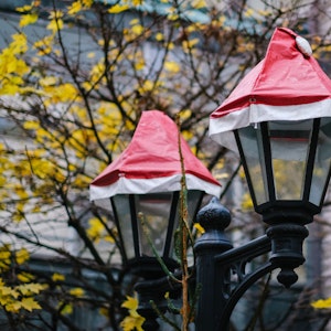 Weihnachtlich geschmückte Straßenlaternen stehen zwischen gelbem Herbstlaub.