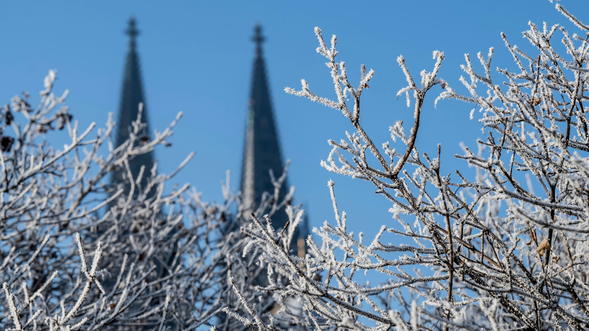 Der Kölner Dom in wechselnden Jahreszeiten...